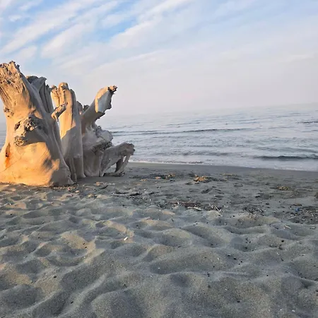 En Bord De Kamp alanı Sorbo-Ocagnano